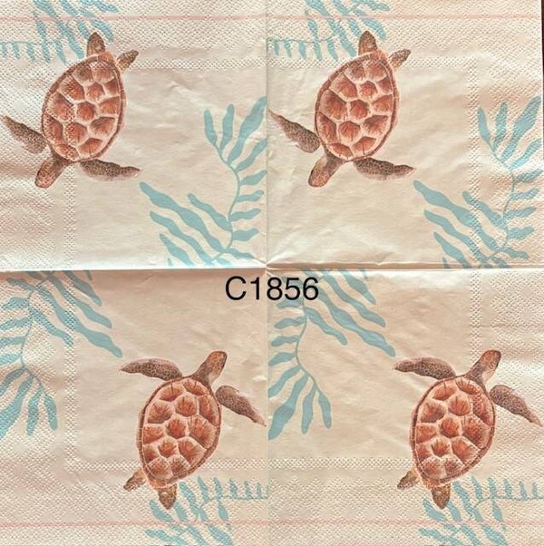 Beach (C1856) - Brown Turtle Swimming
