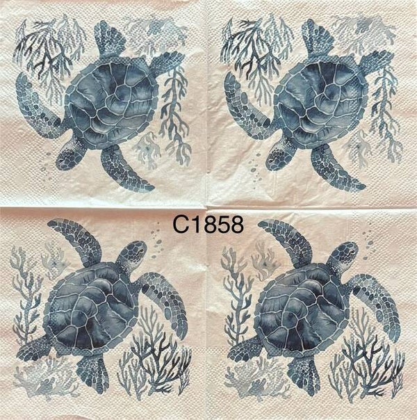 Beach (C1858) - Blue and White Turtle Swimming