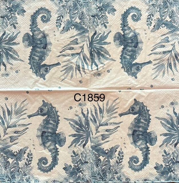Beach (C1859) - Seahorse