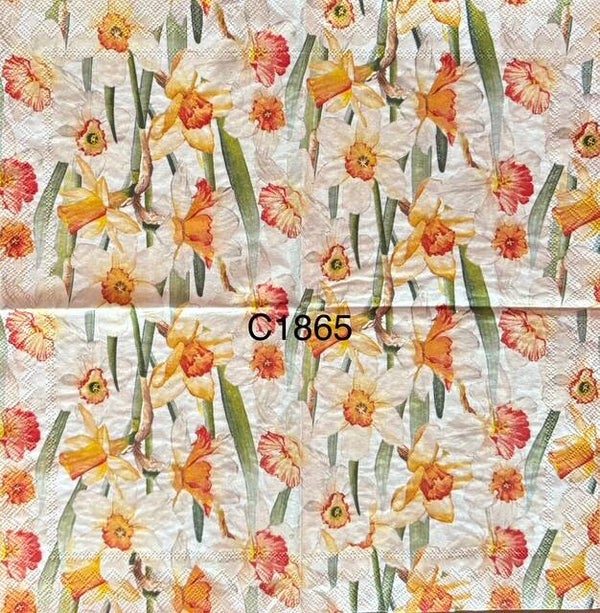 Flowers (C1865) - Daffodils