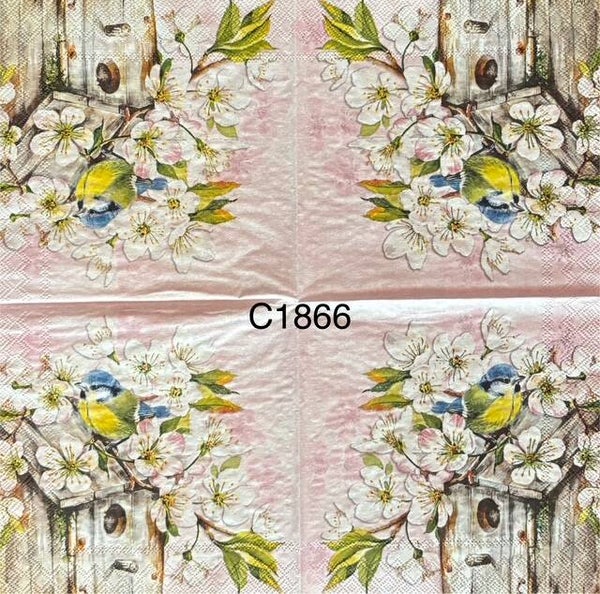 Birds (C1866) - Blue and Yellow Bird Sitting on Birdhouse Surrounded by Magnolias with a Pink Background