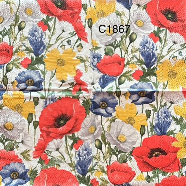 Flowers (C1867) - Poppies Everywhere