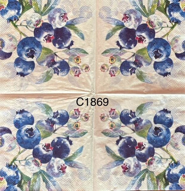 Fruits (C1869) - Blueberries