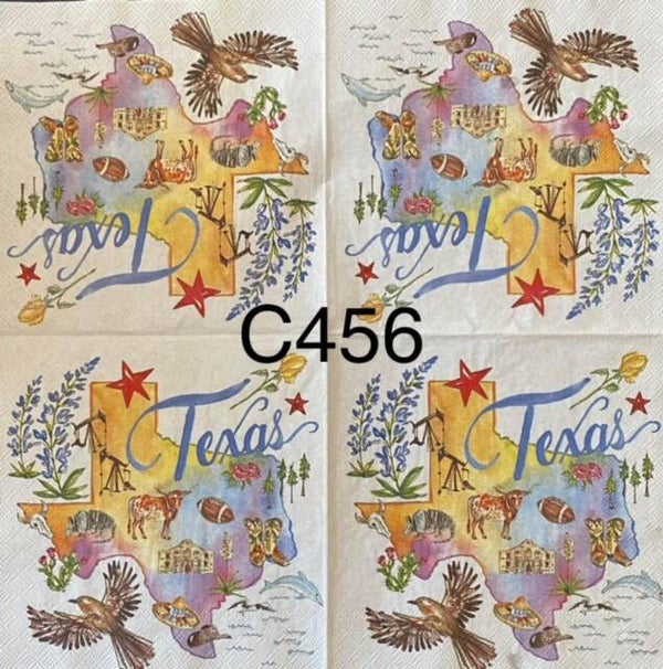 States (C456) - Texas
