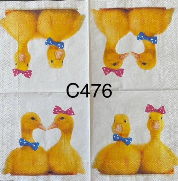 Birds (C476) - Duck Couple