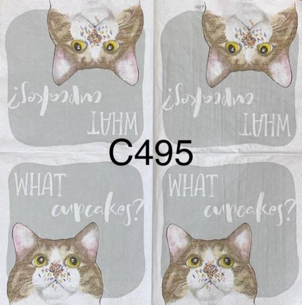 Cats (C495) - What Cupcakes?
