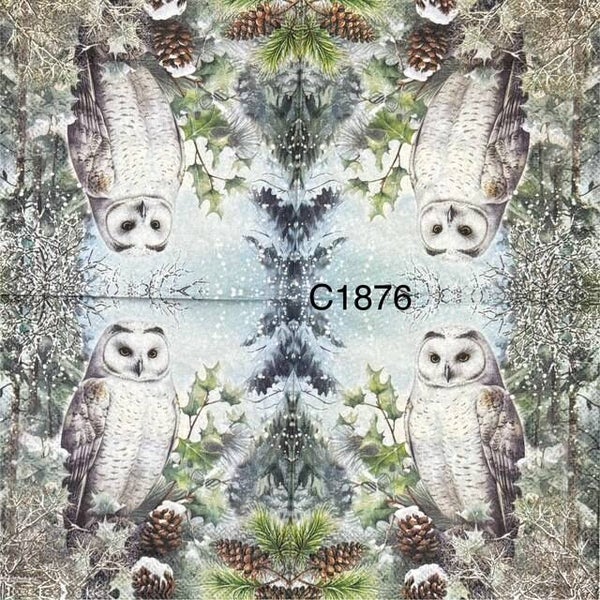 Winter (C1876) - Winter Owl