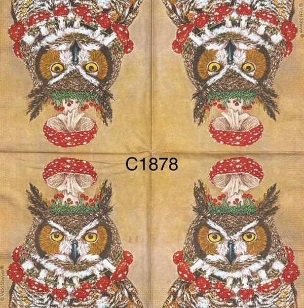 Birds (C1878) - Owl with Red Mushroom Headpiece and Red Mushroom Necklace