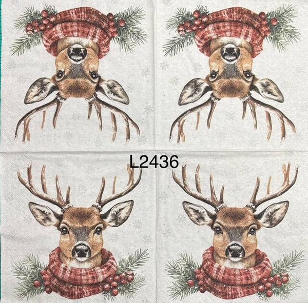 Winter (L2436) - Deer Wearing a Scarf (Buck)