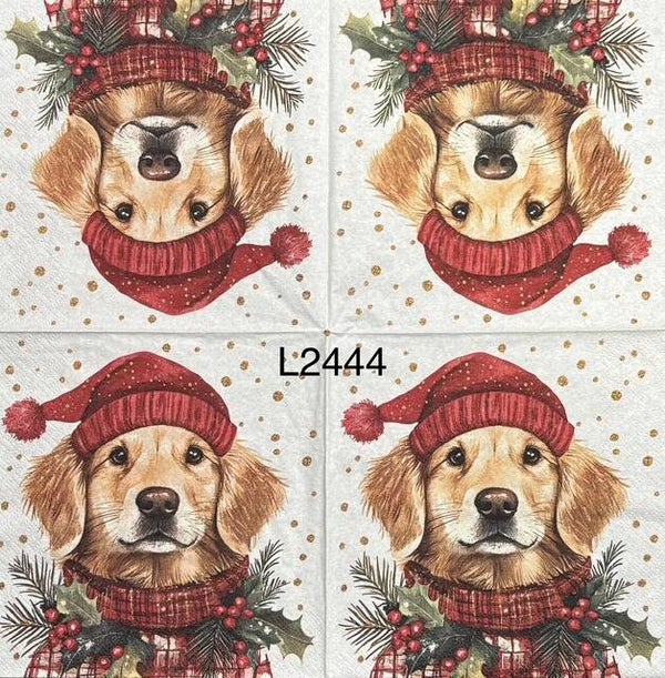 Dogs (L2444) - Dog Wearing a Hat and Scarf