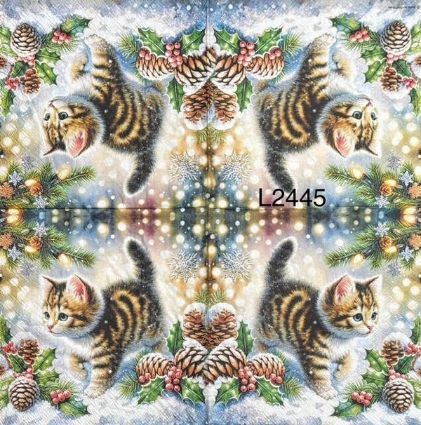 Cats (L2445) - Kitten Walking in the Snow with Pine Cones