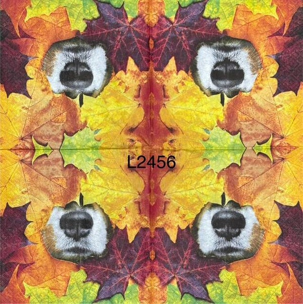 Dogs (L2456) - Dog Nose Sticking Through Leaves