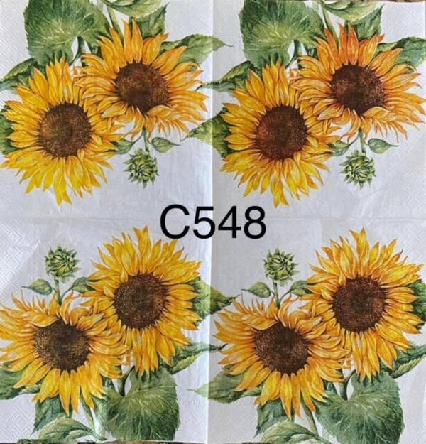 Sunflowers (C548) - Two Sunflowers and a Bud
