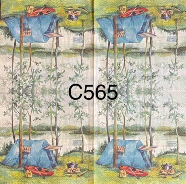 Camping (C565/1181) - Camp Site
