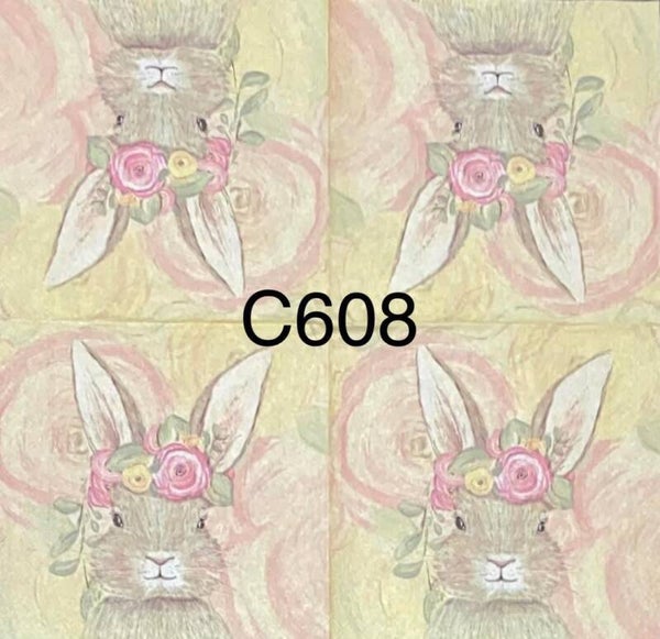 Easter (C608) - Bunny with Flowers on Head and Pale Background