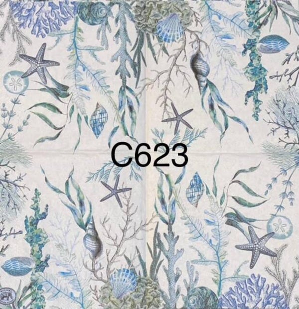 Beach (C623) - MDW Bottom Floor Sea Life