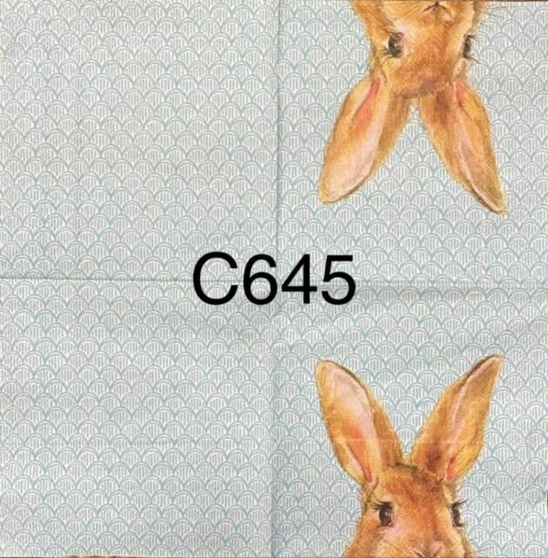 Easter (C645) - Half Bunny Head with Blue Design