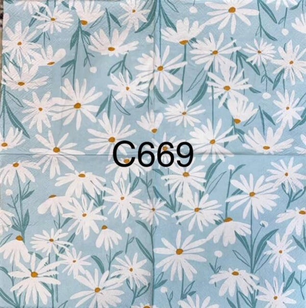 Flowers (C669) - White Daisies with Blue Background