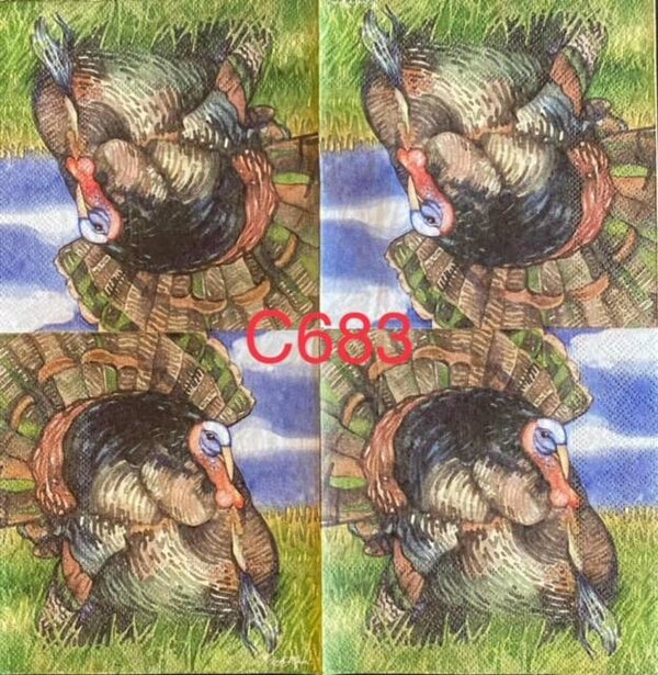 Animals (C683) - Turkey