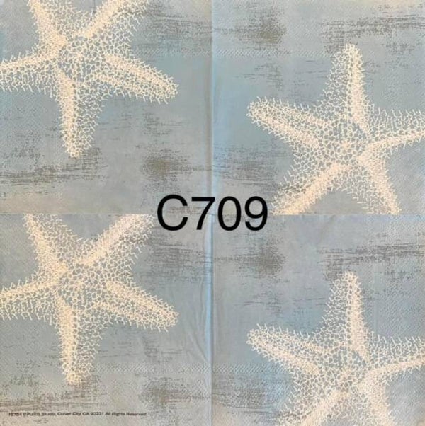 Beach (C709) - White Starfish