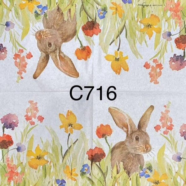 Easter (C716) - Bunny in Wildflower Field