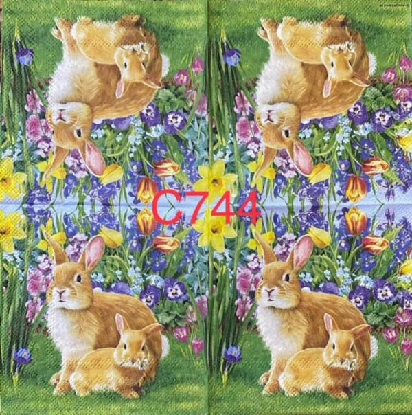 Easter (C744) - Two Bunnies in Flower Garden