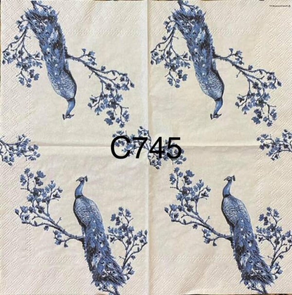 Birds (C745) - Blue and White Peacock on Branch