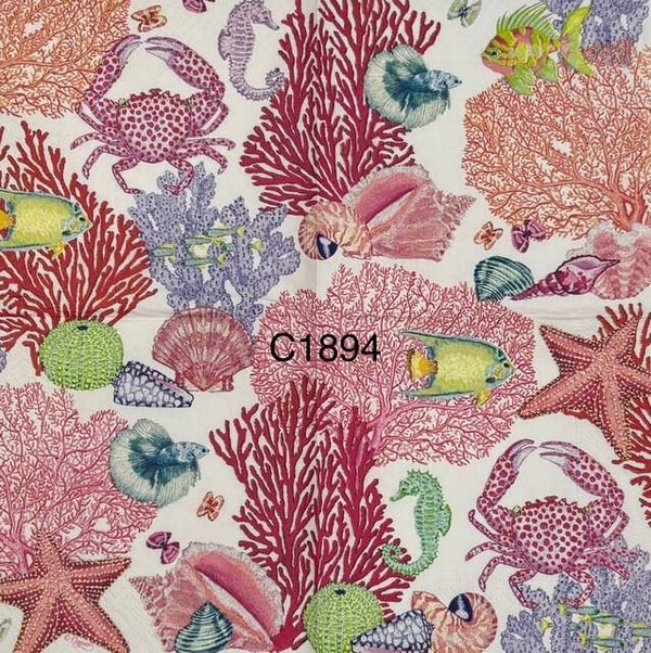 Beach (C1894) - Crabs, Seahorse, Angel Fish, Coral, Shells, Starfish (Very Colorful)