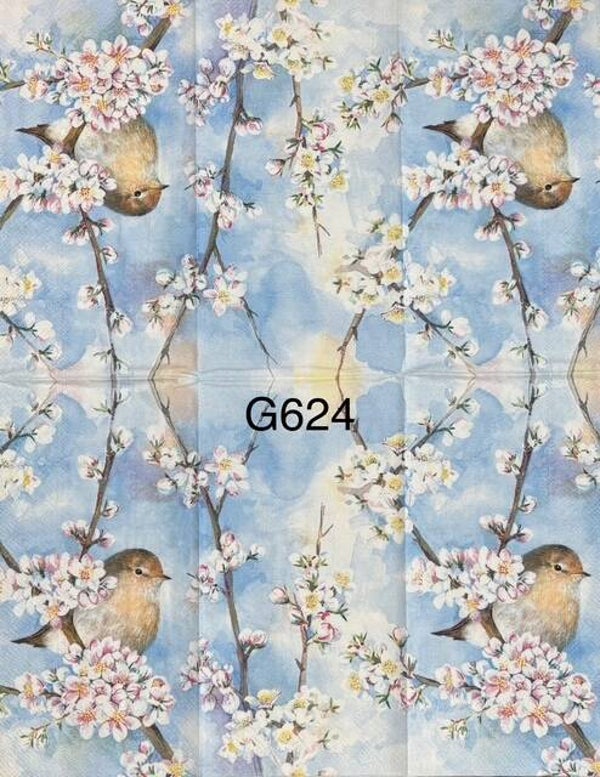 Birds (G624) - Small Brown Bird with Orange Chest on Branch with Cherry Blossoms