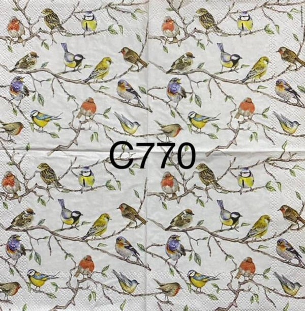 Birds (C770) - Lots of Various Birds on Branches