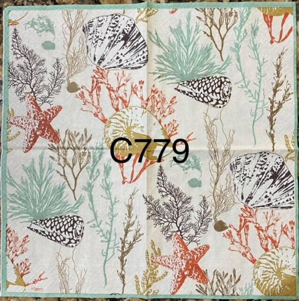 Beach (C779) - Shells and Coral Reefs