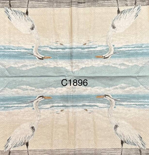 Birds (C1896) - Egret Along the Beach
