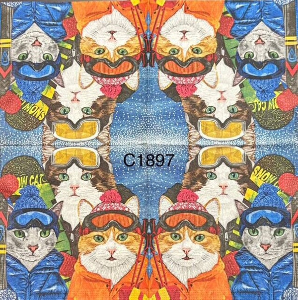 Cats (C1897) - Cats with Hats, Jackets and Ski Goggles