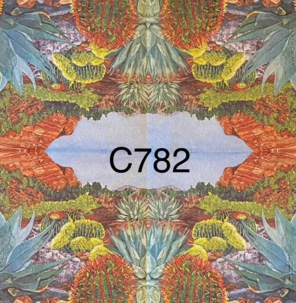 Plants (C782) - Cactus Field