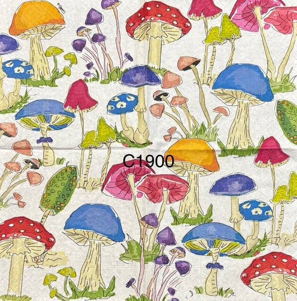 Vegetables (C1900) - Colorful and Bright Mushrooms
