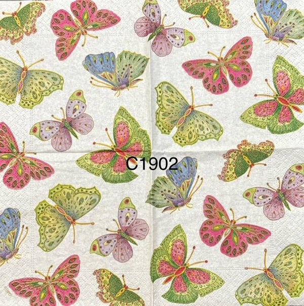Butterflies (C1902) - Colorful Butterflies