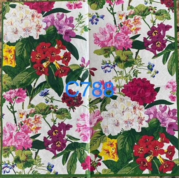 Flowers (C788) - Bright Flowers Wallpaper