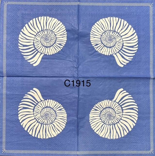 Beach (C1915) - White Nautilus Shell with Blue Background