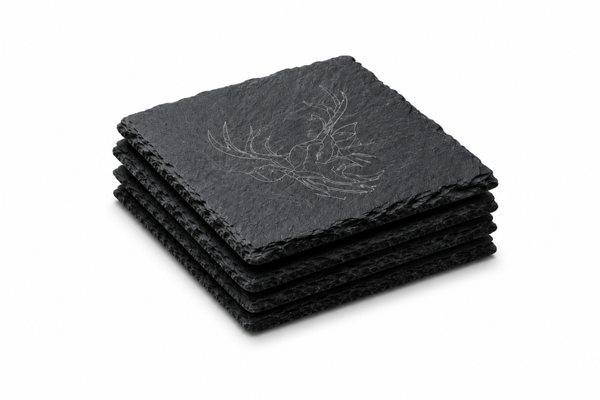 Dragon Coasters Set