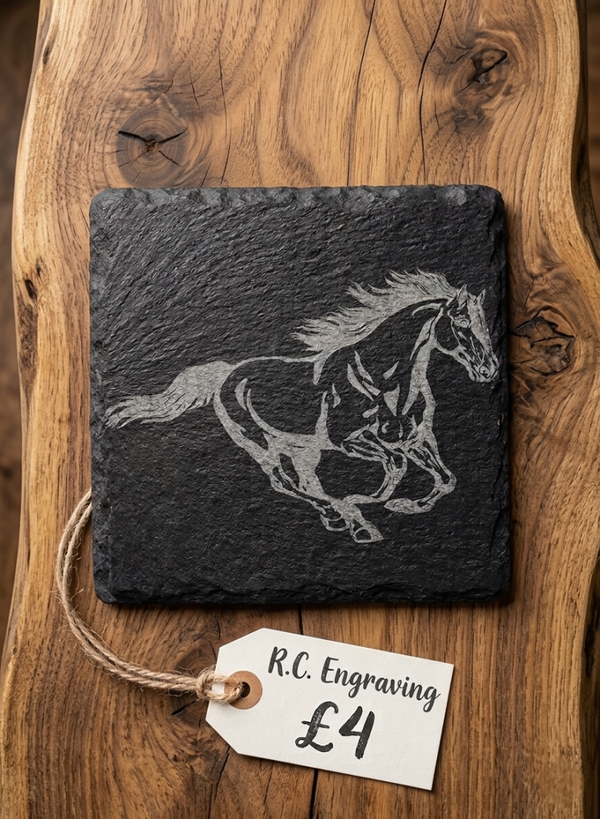 Horse Coaster