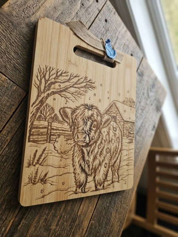 Highland Cow in winter
