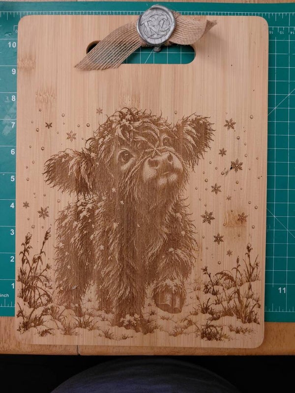 First Snow Flake