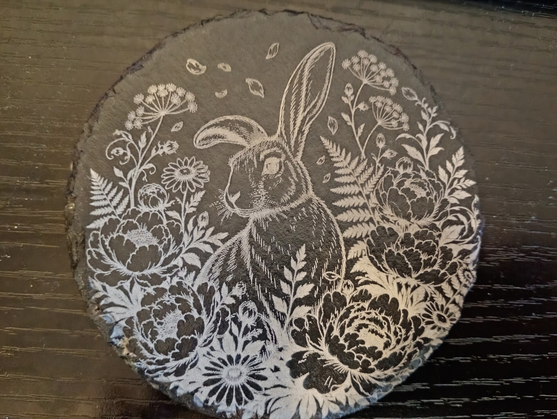 Rabbit