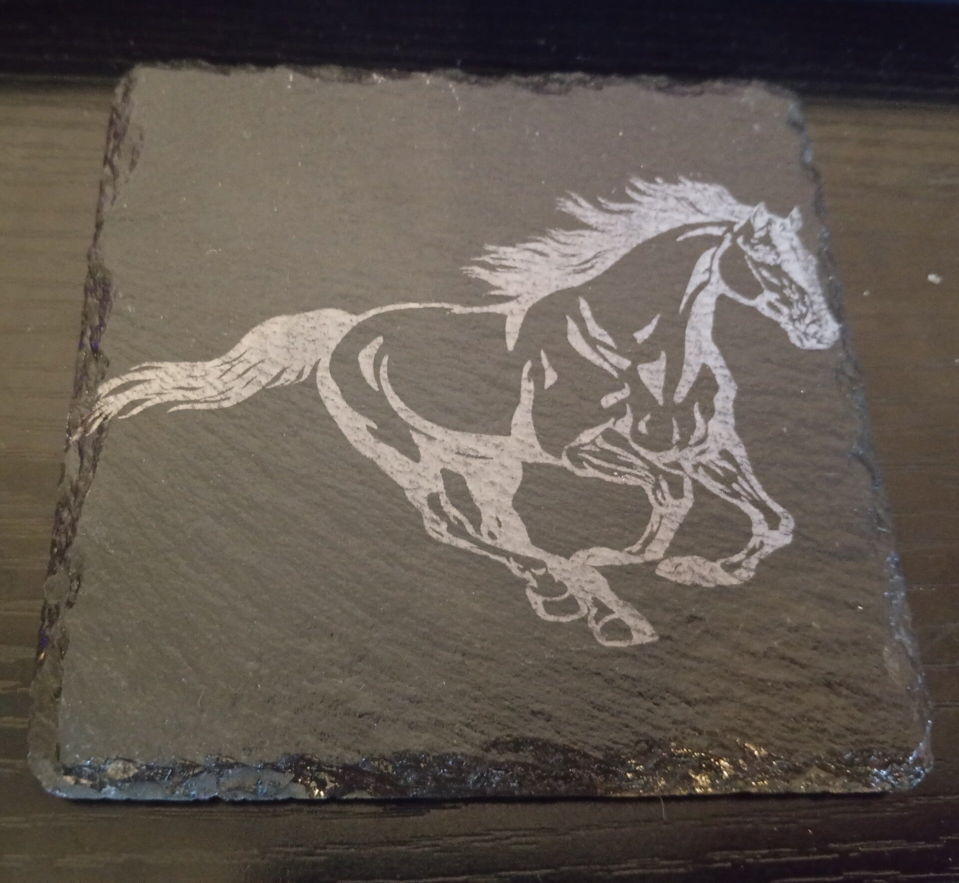 Horse Coaster