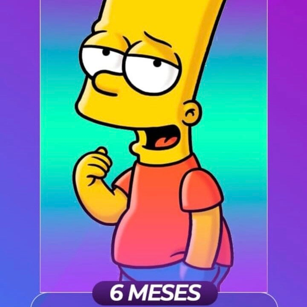 Seis meses de suscripción 😍