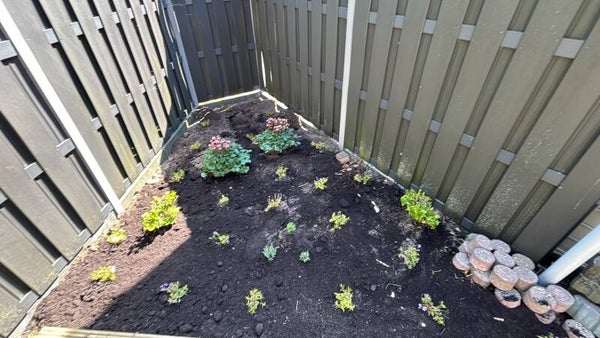 Beplantingsplan voor borders 20 t/m 29m2