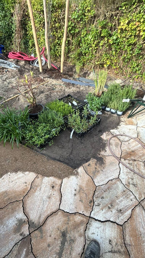 Beplantingsplan voor borders 10 t/m 19m2