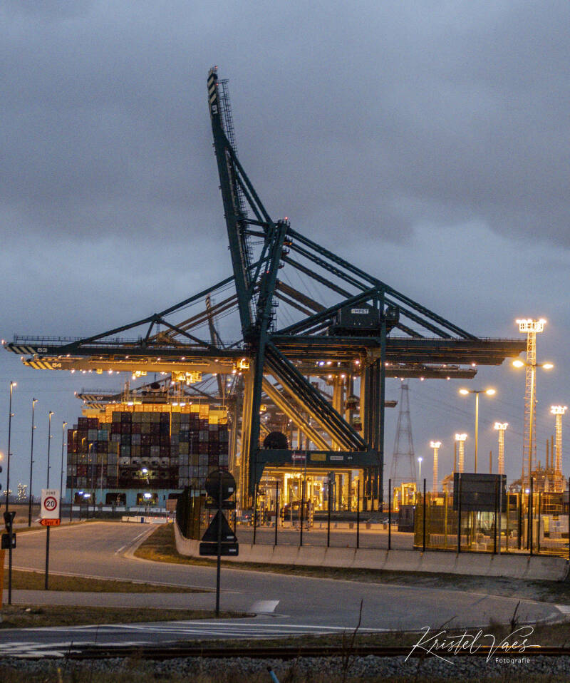 lilloendoel198van213.jpg