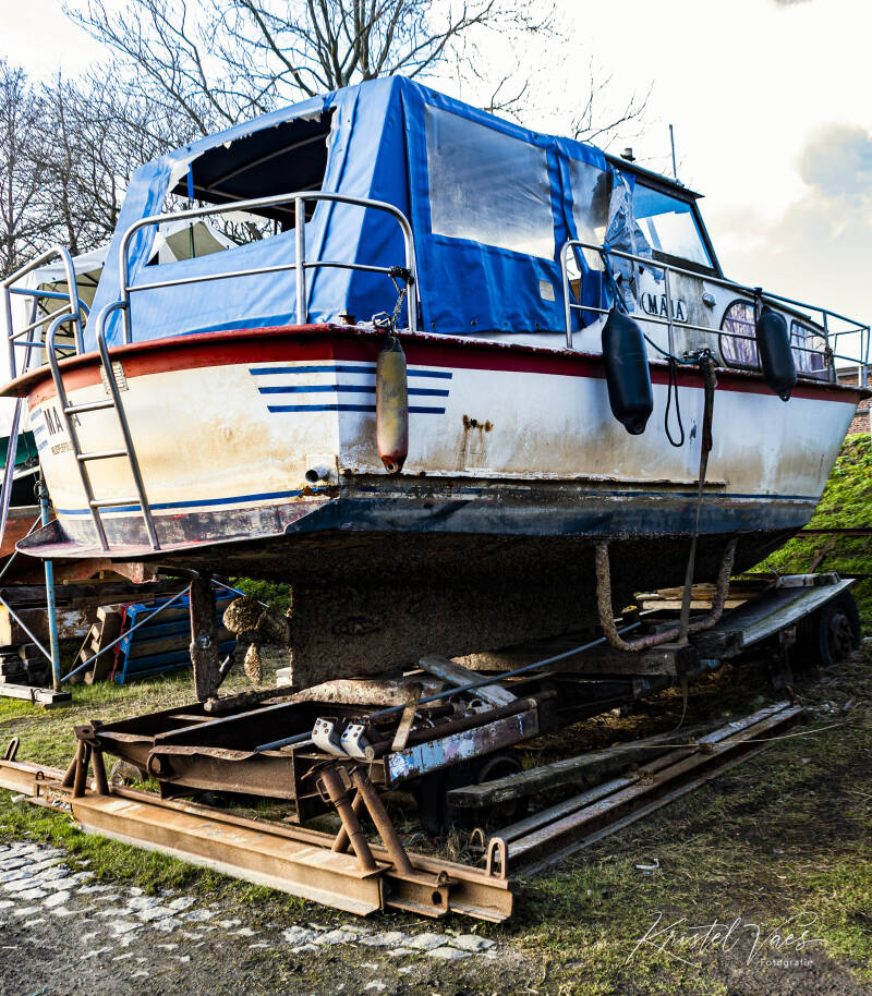 lilloendoel52van213.jpg