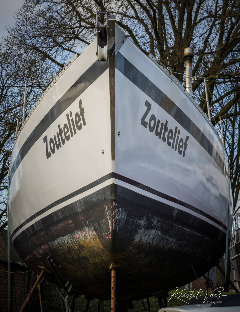 lilloendoel54van213.jpg